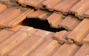 roof repair Donington On Bain, Lincolnshire