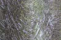 Donington On Bain fibreglass roof work